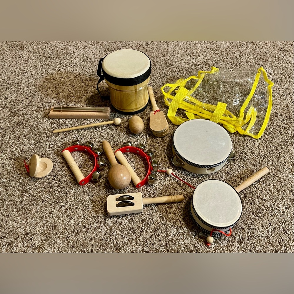 Kids Percussion Instrument Set Natural Wood 11 instruments and carrying case